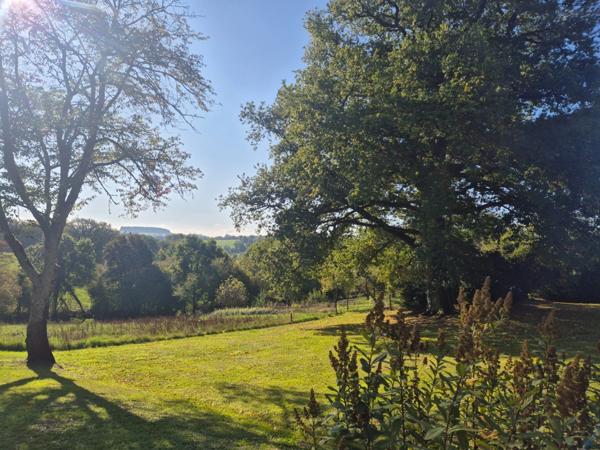 Maison à vendre 10 pièces proche de AIGURANDE (36)