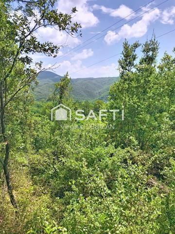 Sobriété et retour à la nature