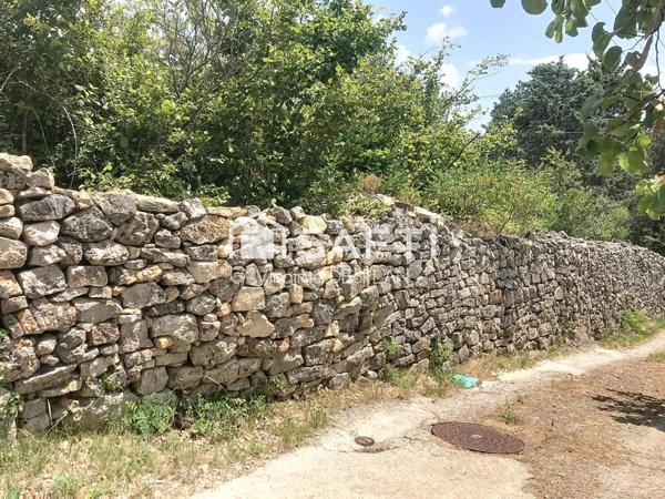 Sobriété et retour à la nature