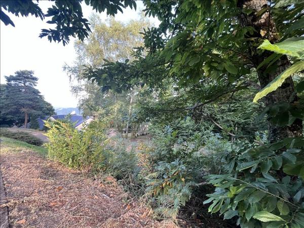 Terrain à vendre |  Aubazines |  22176 m²