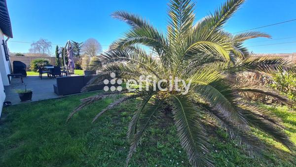 Maison 4 pièces - 125 m² Exclusivité efficity