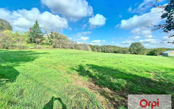 Terrain à vendre    Chavagnac