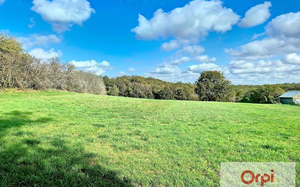 Terrain à vendre    Chavagnac