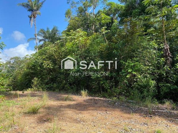 Terrain de loisir à Roura secteur La Comté
