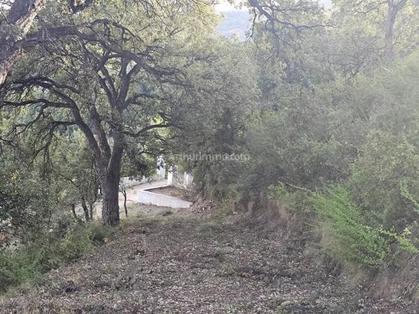 Vente Terrain 1606 m2 à Lucciana