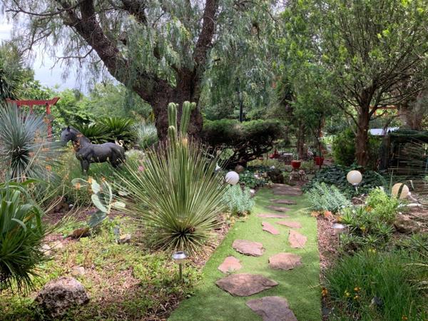 Maison à vendre    8 pièces •  Solliès-Ville