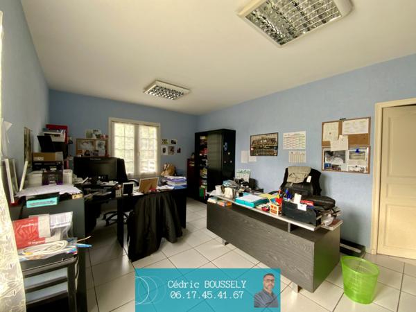 Maison Saint-savinien 9 pièce(s) piscine et local professionnel