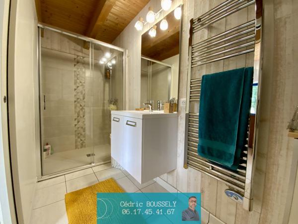 Maison Saint-savinien 9 pièce(s) piscine et local professionnel