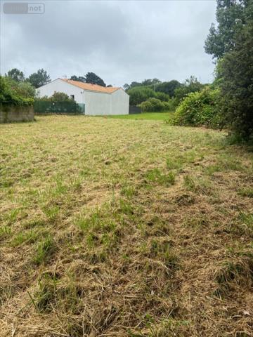 Terrain à Batir à vendre à Le Grand-Village-Plage en Charente-Maritime (17370), ref : 79066-1053522