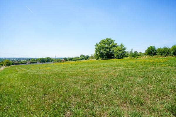 Terrain 7061 m2