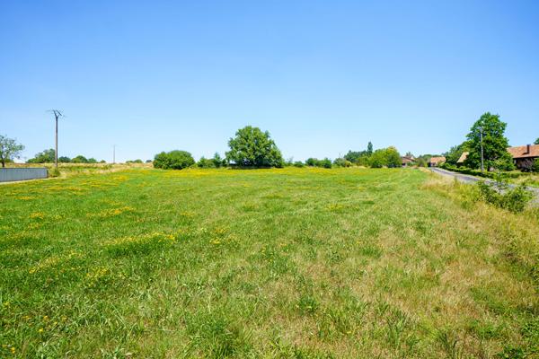 Terrain 7061 m2