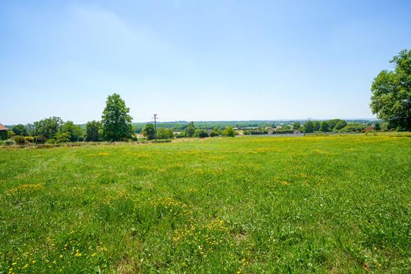 Terrain 7061 m2