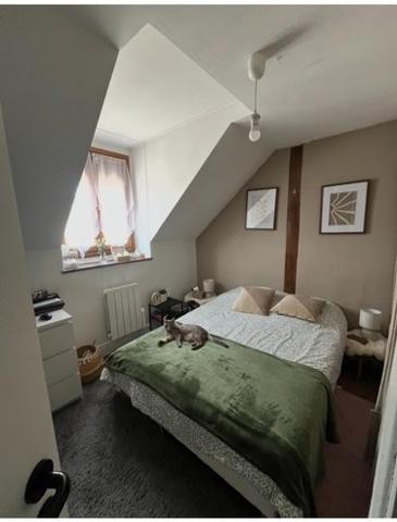 Appartement à louer à Orléans dans le Loiret (45000), ref : SAINTMARC1505 SAINT MARC