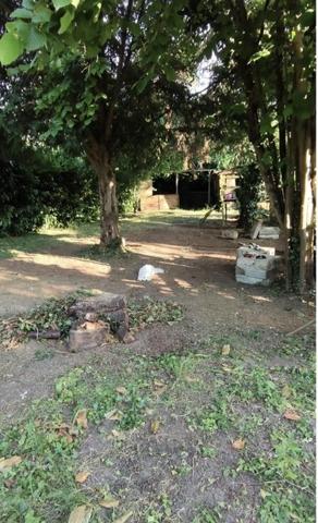 Appartement à louer à Orléans dans le Loiret (45000), ref : SAINTMARC1505 SAINT MARC