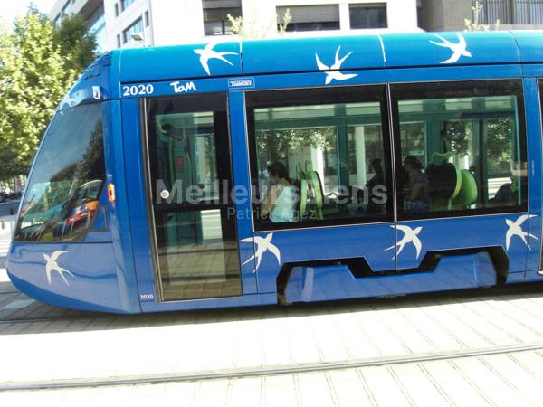 studio +terrasse  RIVES DU LEZ / FAC RICHTER