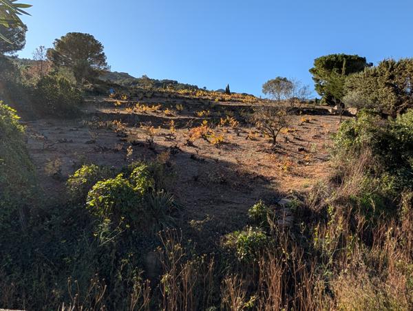 Appartement 2 pièces - 40 m² Exclusivité efficity