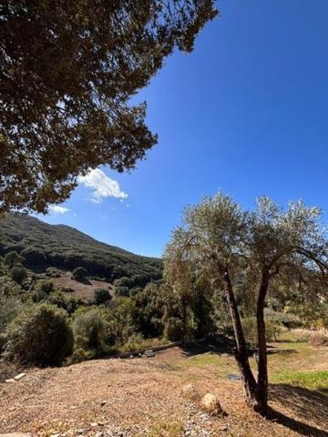 SARTÈNE – AUTHENTIQUE VILLA ESPRIT BERGERIE SUR UN BEAU TERRAIN DE 2360M2 - CALME ABSOLU