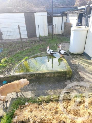 Maison à vendre  6 pièces - 163 m2 CHAMBLY - 60