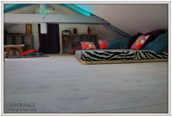 A vendre, Maison rénovée avec gout, terrain et garage CELLES SUR DUROLLE (63)