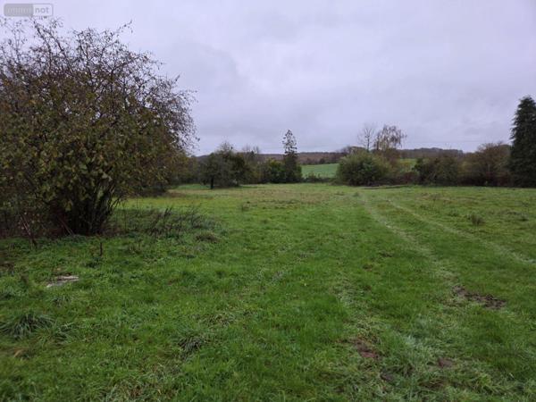 Maison à vendre à Champéon en Mayenne (53640), ref : 53075/FC10