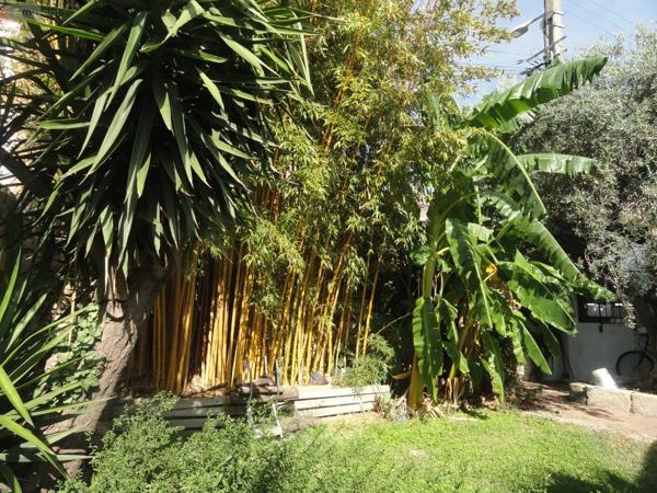 Achat - Maison Bellegarde 30127 4 pièces 90 m 2 493 m 2