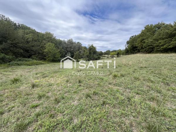 Viager occupé, maison de campagne et grand terrain