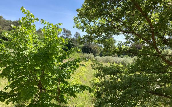 Maison à louer    5 pièces •  Le Tholonet