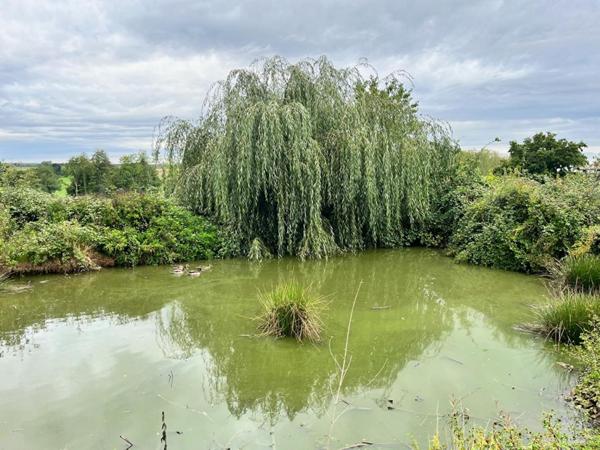 Maison 154 m2 + Atelier 70 m2 + Terrain 5000 m2