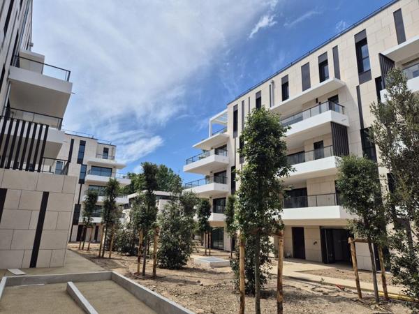 Local Commercial - 364 m²