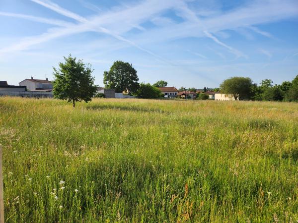 TERRAIN CONSTRUCTIBLE 1793M² - LOTISSEMENT - TOUT A L'EGOUT