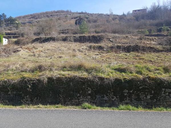 Terrain à vendre à Saint-Rome-de-Tarn (12490)