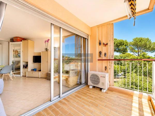 Vente                                                      Appartement
                        
                     1 pièces                      29 m2                     à Saint-Aygulf