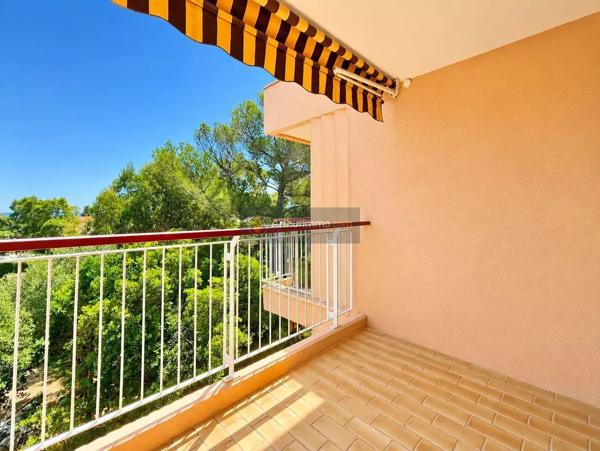 Vente                                                      Appartement
                        
                     1 pièces                      29 m2                     à Saint-Aygulf