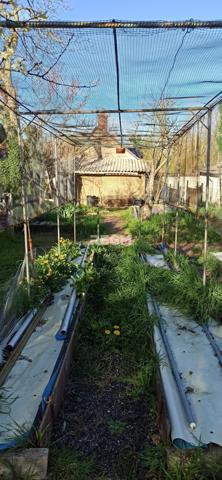 Morthomiers (18570) Maison de Village