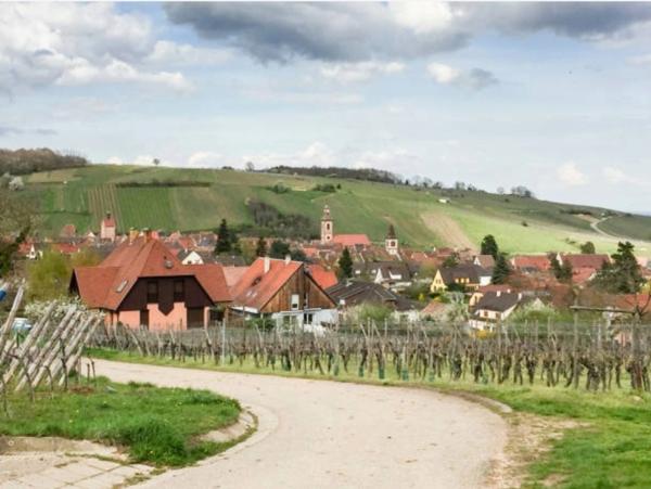 STUDIO à vendre - Secteur COLMAR TURCKHEIM (68) STUDIO PLAIN-PIED 22,50 m2 TURCKHEIM