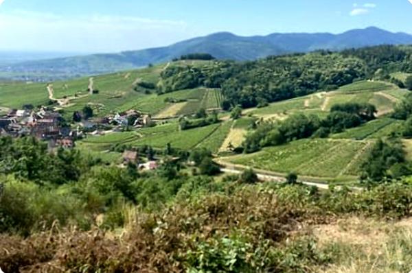 STUDIO à vendre - Secteur COLMAR TURCKHEIM (68) STUDIO PLAIN-PIED 22,50 m2 TURCKHEIM