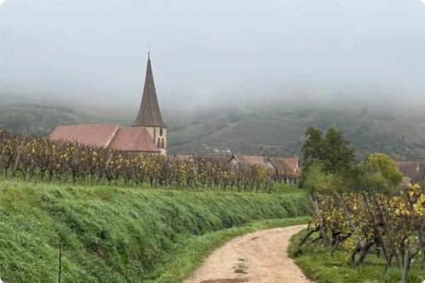 STUDIO à vendre - Secteur COLMAR TURCKHEIM (68) STUDIO PLAIN-PIED 22,50 m2 TURCKHEIM