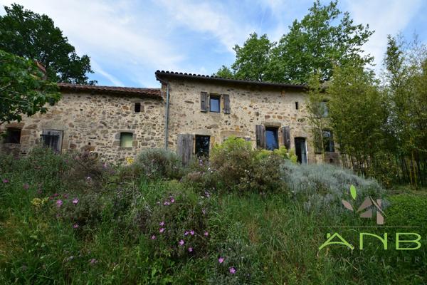 Charmante maison en pierre rénovée - Rouzède