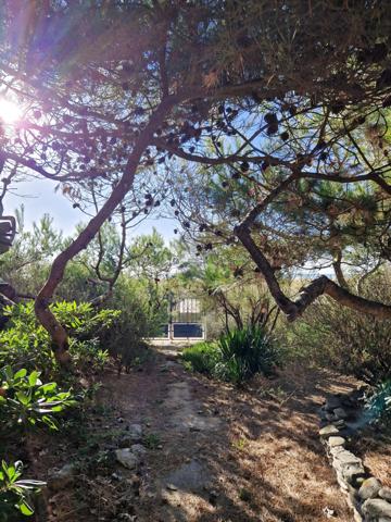 Châtelaillon-Plage (17340) Maison sur la plage de Chatélaillon