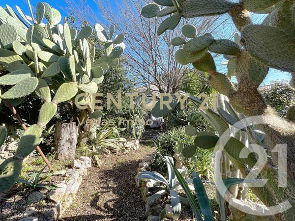 Maison à vendre  5 pièces - 98,56 m2 ST JEAN DE VEDAS - 34