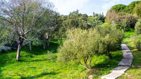 Appartement Coup de Coeur rénové T2 en Duplex - Bormes-Les-Mimosas (83)