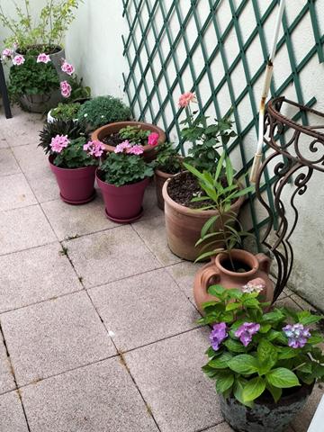 Maison aux Sables D Olonne quartier Saint Michel