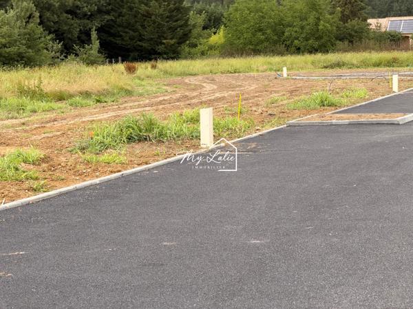 TERRAIN VIABILISE 1123 m²