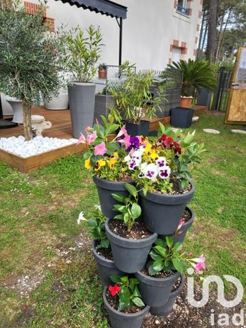 Appartement 2 pièces de 42 m² à Andernos-les-Bains (33510)