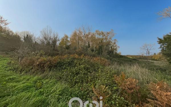 Maison à vendre    3 pièces • 67 m2 Flavignac