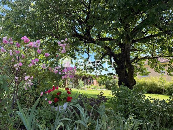 Un écrin de verdure avec piscine à Levigny