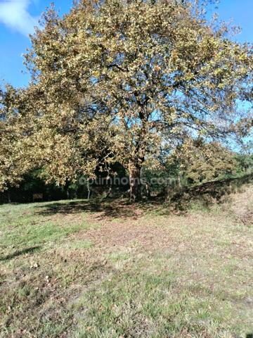 Maison- 3 pièces avec jardin et grand garage