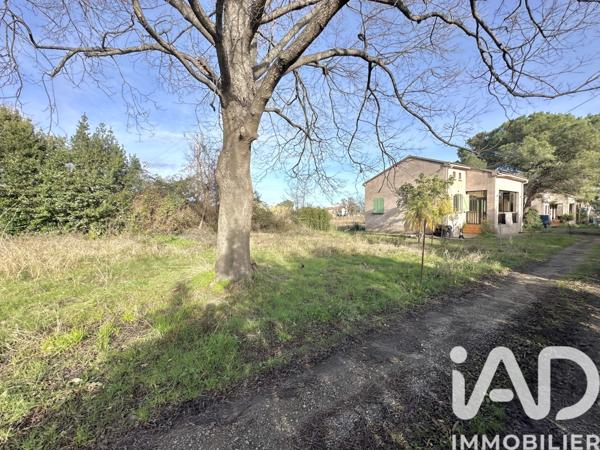 Maison à vendre 5 pièces 217 m² Santa-Lucia-di-Moriani