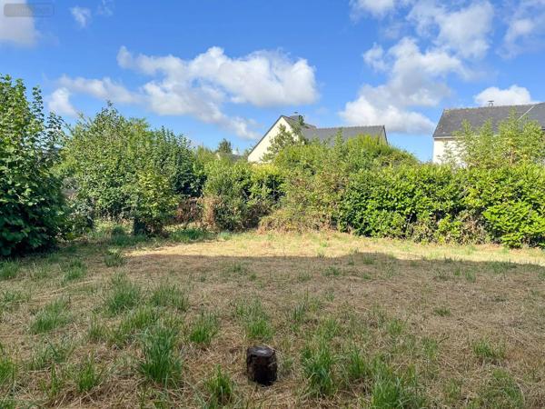 Achat - Maison La Mézière 35520 7 pièces 142 m 2 1220 m 2
