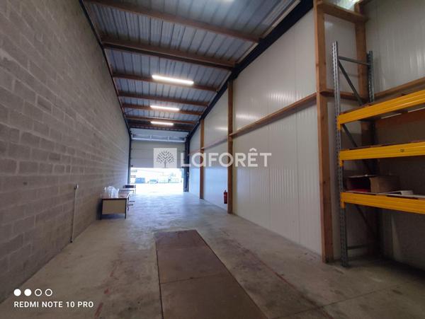 Location local commercial Ploërmel - 300 m² - 1 800 €/mois